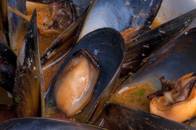 都内 おすすめスペイン料理 サウダージ