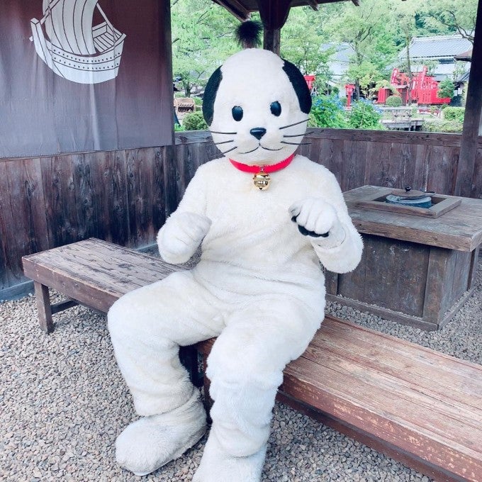 にゃんまげ