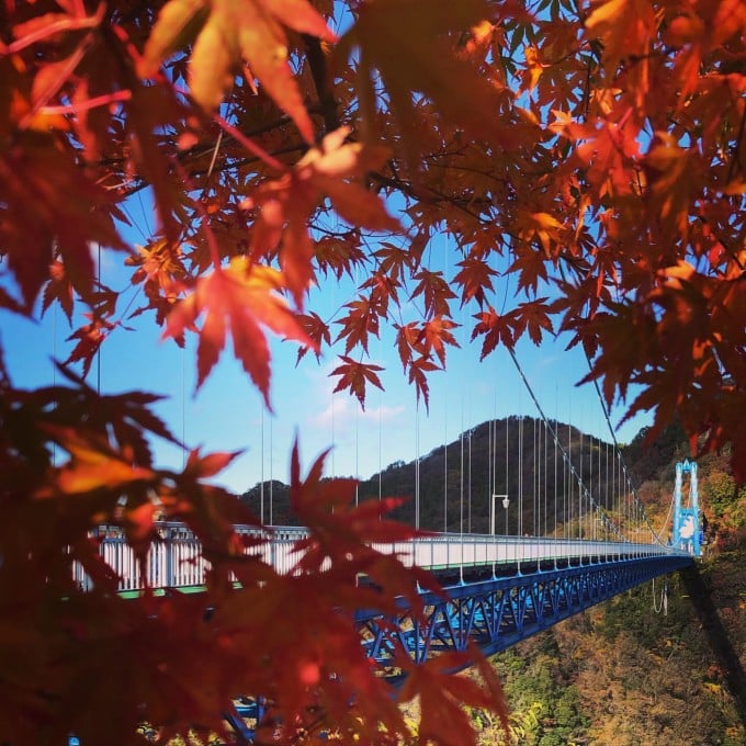 竜神大吊橋 紅葉