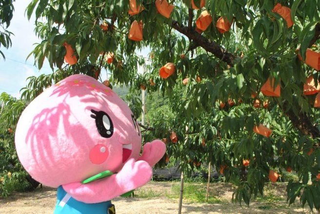 岡山県 ゆるキャラ あかいわももちゃん