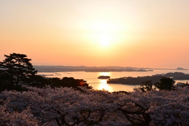 松島（松島）