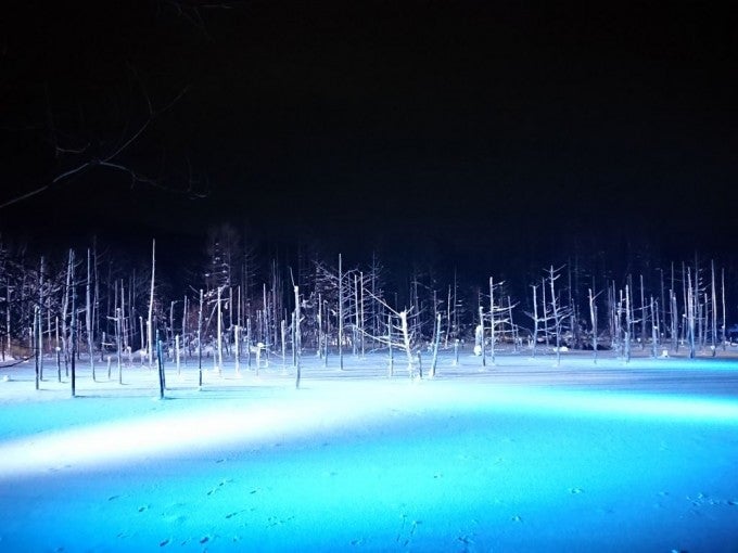 青い池ライトアップ