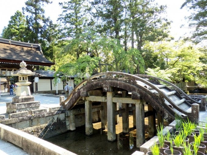 多賀大社 橋 パワースポット