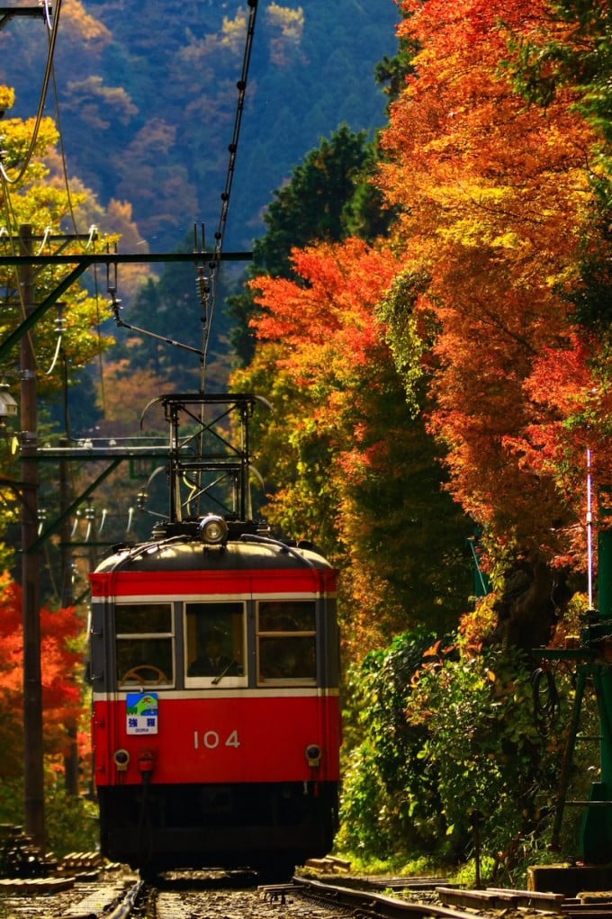 箱根登山鉄道 紅葉