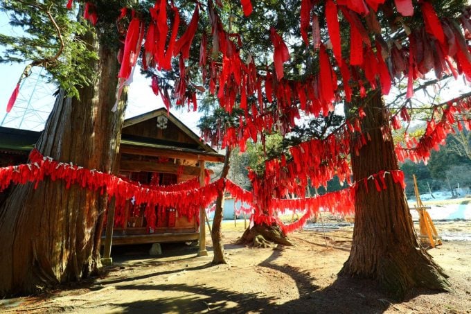 岩手 パワースポット 卯子酉神社