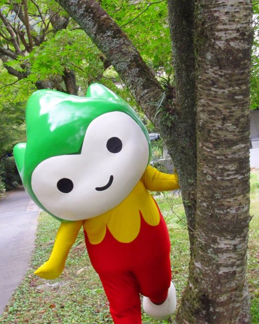 山口県 ゆるキャラ ちょるる