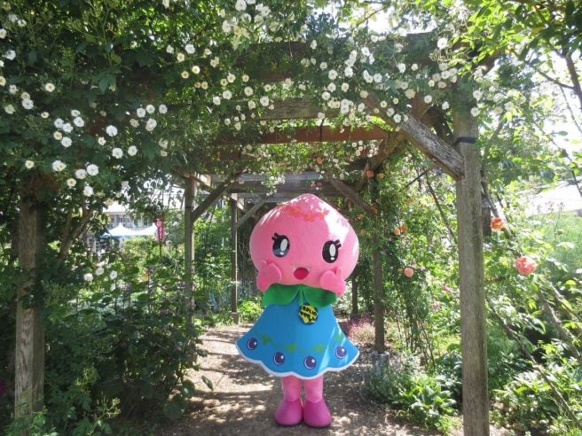 岡山県 ゆるキャラ あかいわモモちゃん
