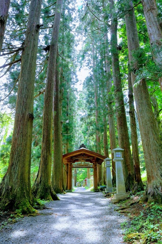 岩手 パワースポット 桜松神社