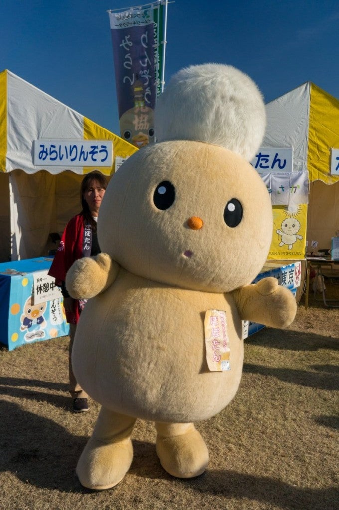 ぽぽたん