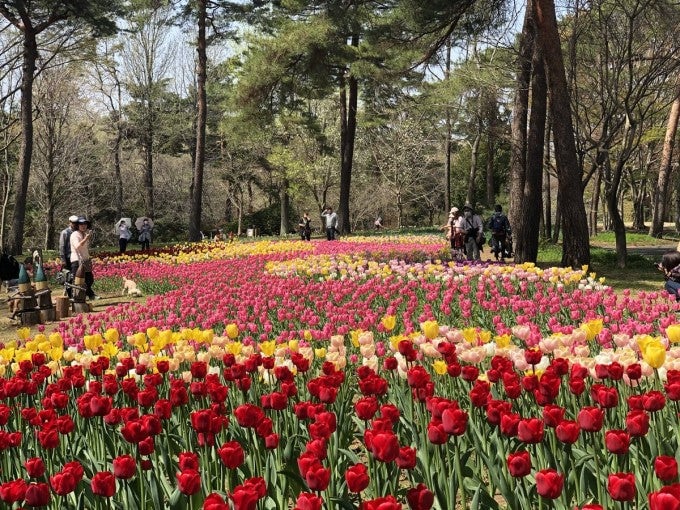 武蔵丘森林公園