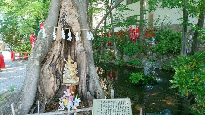 【埼玉県】開運間違いなし！ パワースポットとして知られる神社10選