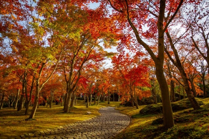 箱根美術館 紅葉
