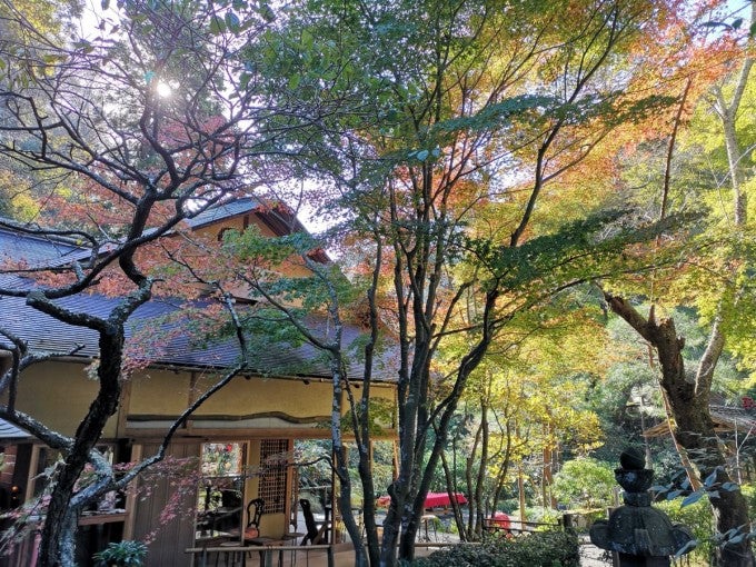 明月院 鎌倉市