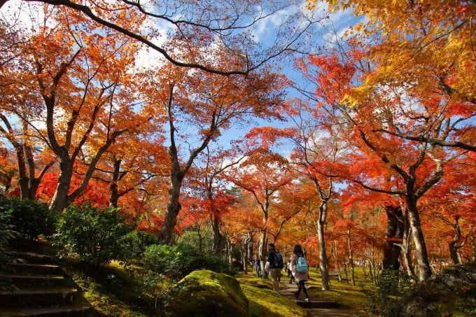 箱根美術館 紅葉