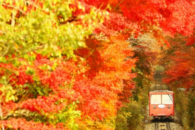 茨城インスタ映え 筑波山 紅葉