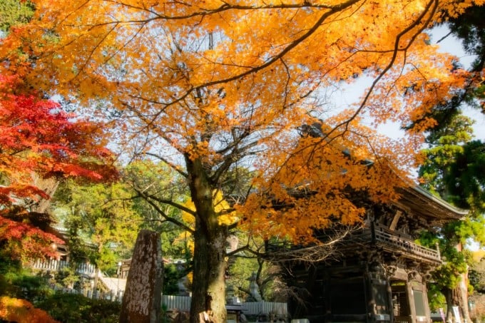 茨城インスタ映え 筑波山神社 紅葉
