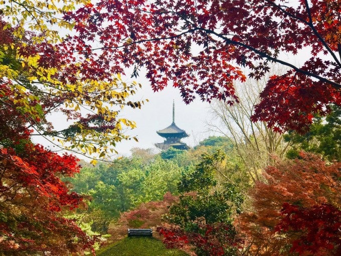 三溪園 紅葉