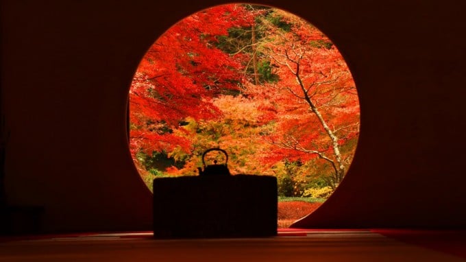 明月院 紅葉