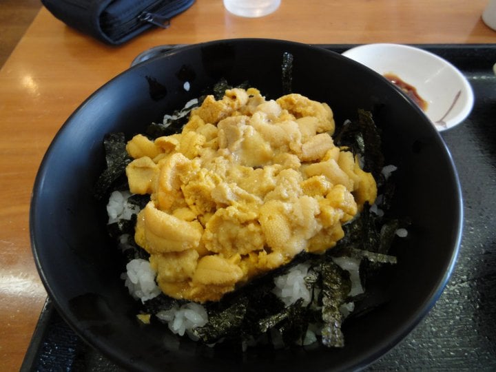 北海道旅行 うに丼