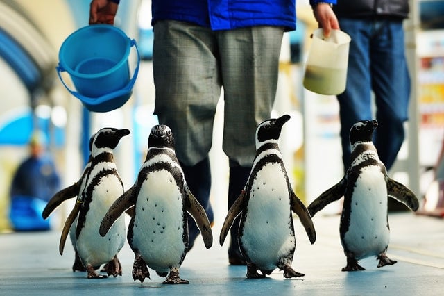 のとじま水族館