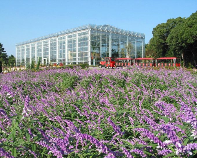 静岡 花畑 はままつフラワーパーク