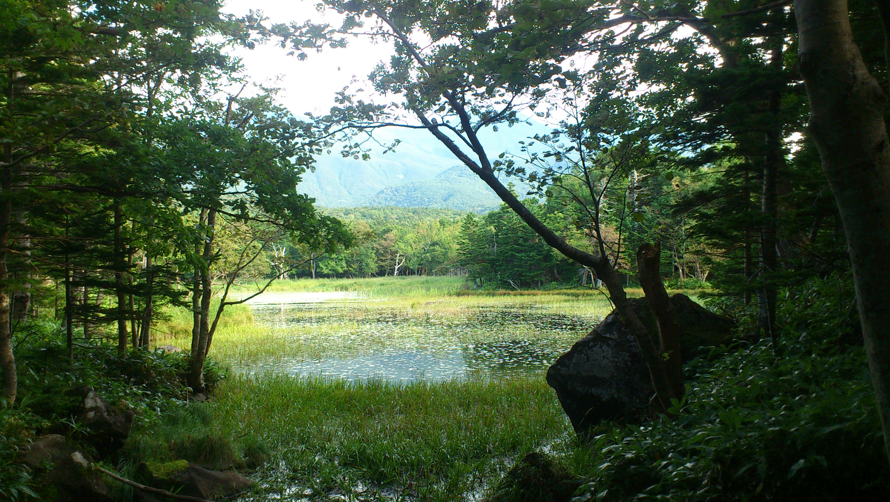 åºäºæ¹(æéé¡æéçº)