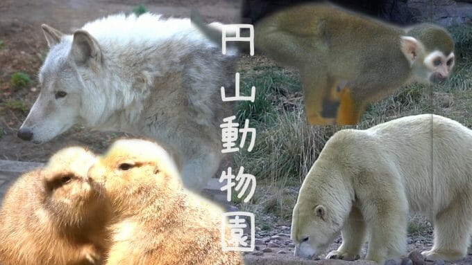 札幌市円山動物園