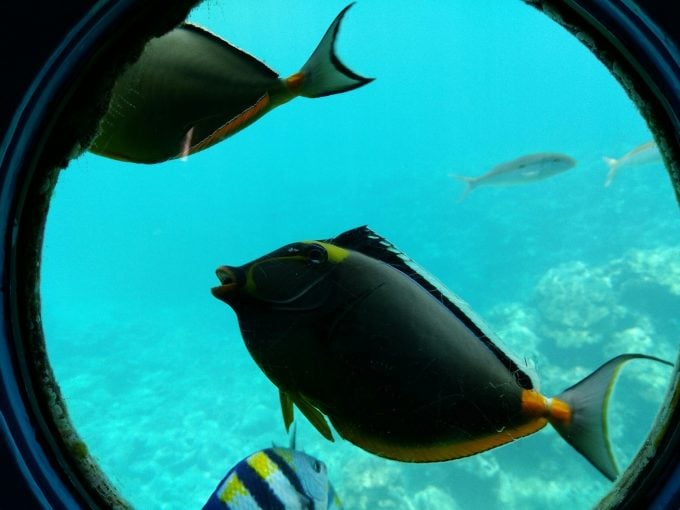ブセナ海中公園