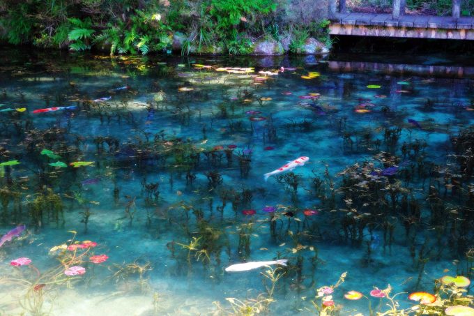 岐阜県のインスタ映えするスポット厳選18選