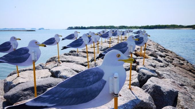 佐久島