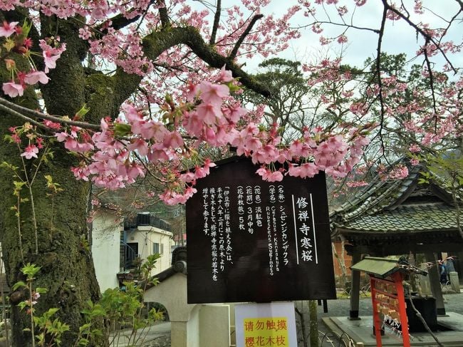 修禅寺