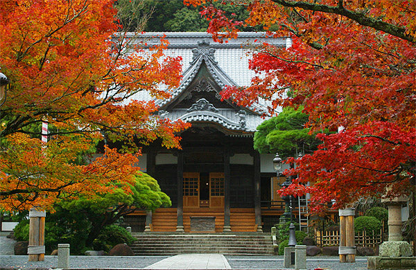 修禅寺