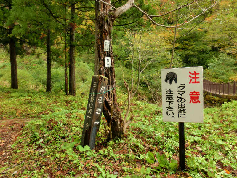 刈込池