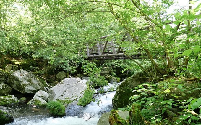 吐竜の滝