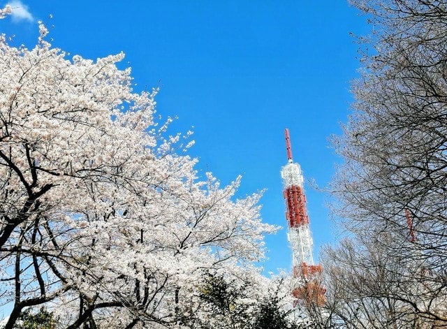 呉羽山公園展望台
