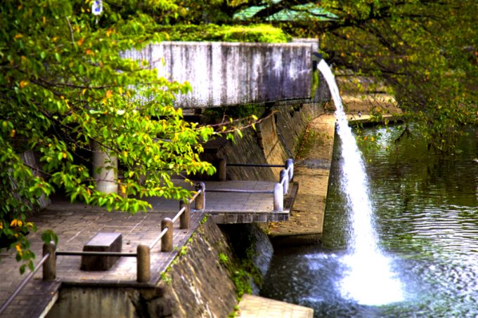 大垣市 観光スポット 養老公園