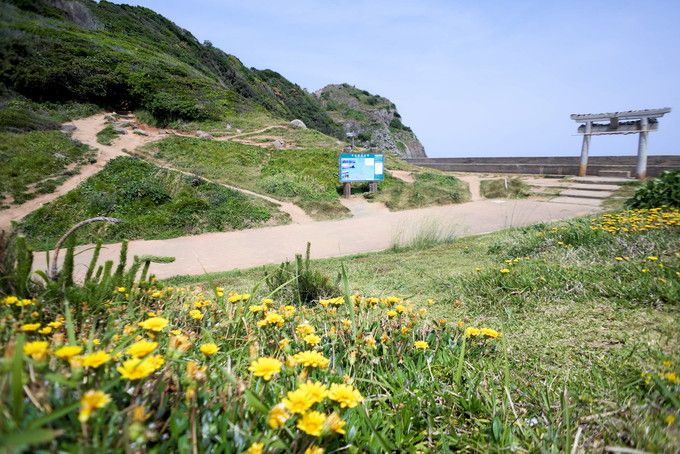 福岡 インスタ映え 大門公園