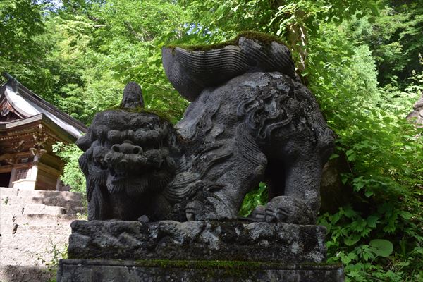奥社