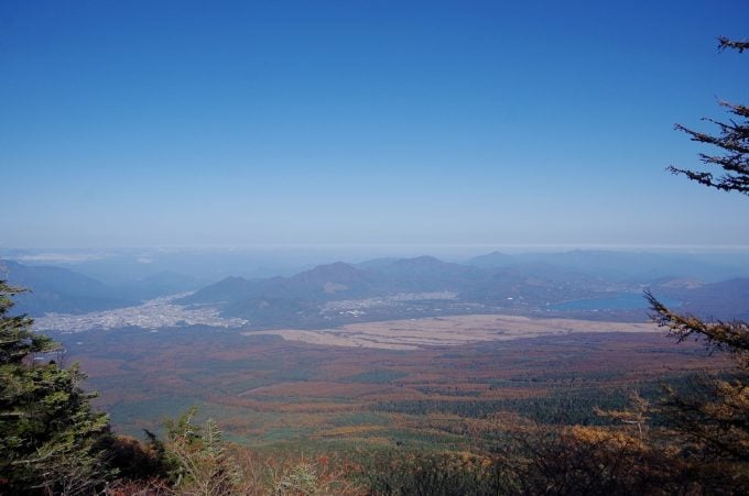 展望台から景色を楽しもう