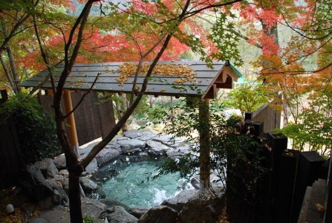 山華の正