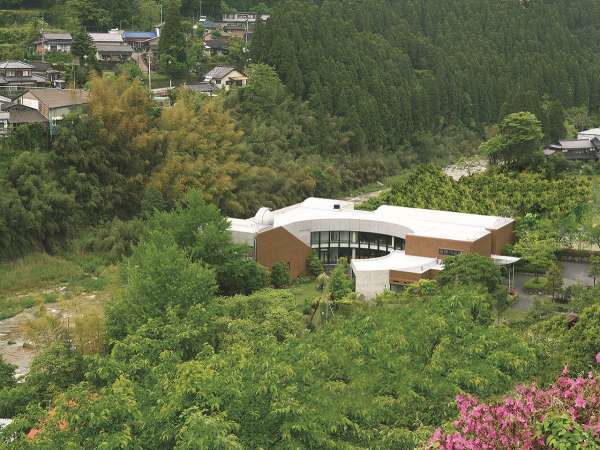 山華の正