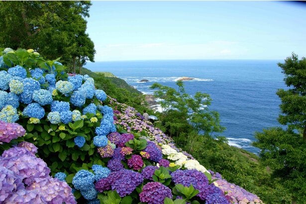 宮崎県 インスタ映え 桃源郷3