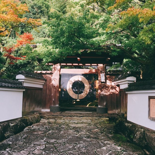 梅の花2