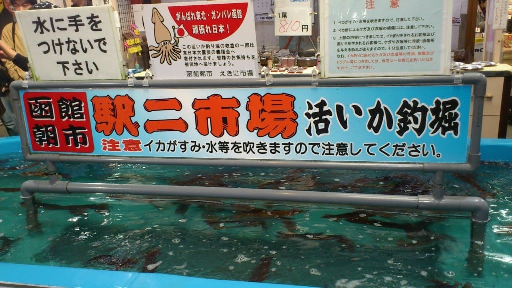 活いか釣掘