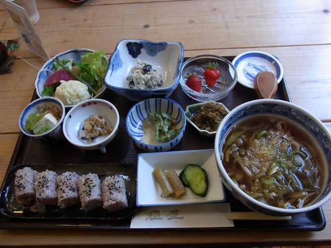 札幌 うどん 山菜 塩屋(南区)
