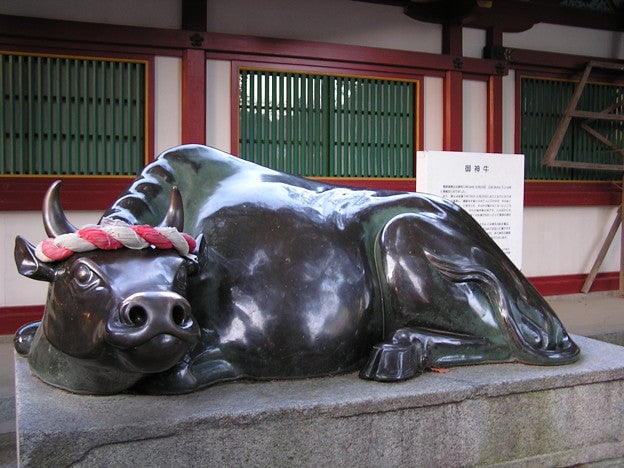 牛