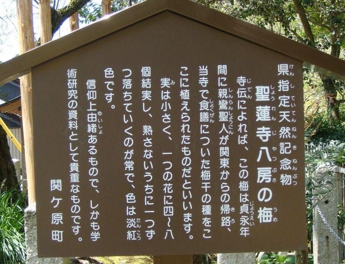 岐阜　インスタ映え　聖蓮寺