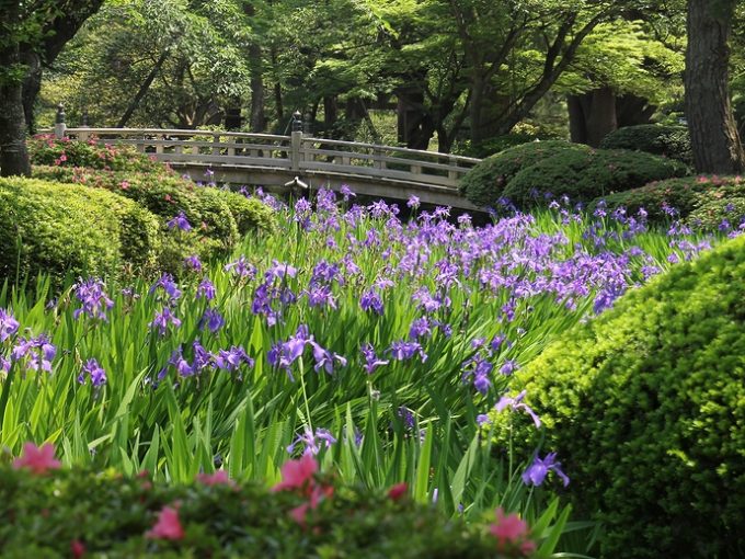 花見橋
