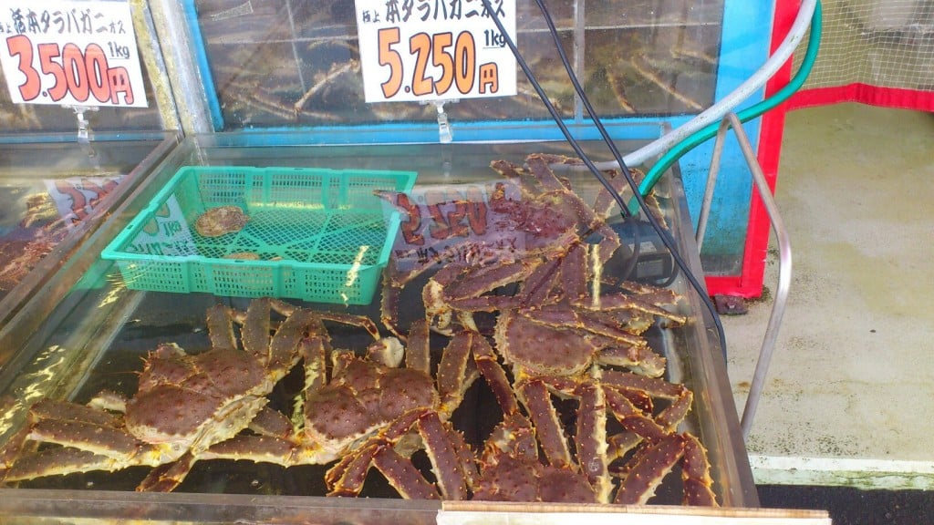 函館市で美味しい海鮮丼が食べられる人気店を厳選