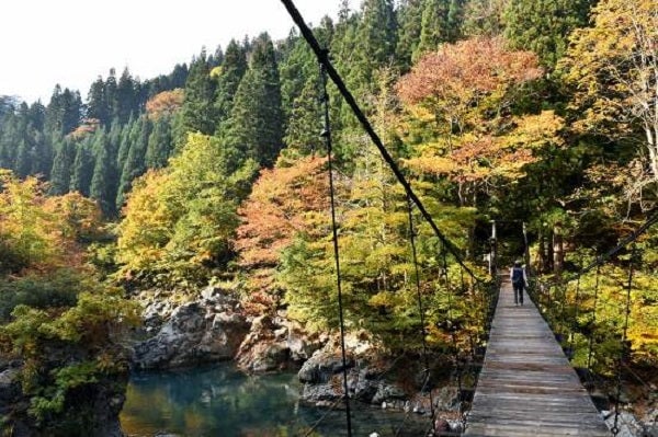 見倉橋